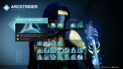 Best Destiny 2 Hunter Arc Build for PvE and PvP